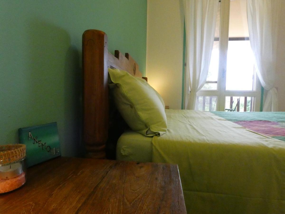 Mrcaruba Bed & Breakfast